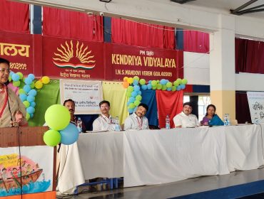 वार्षिक पैनल निरीक्षण
