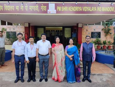 वार्षिक पैनल निरीक्षण