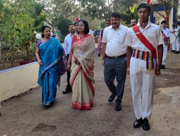 वार्षिक पैनल निरीक्षण