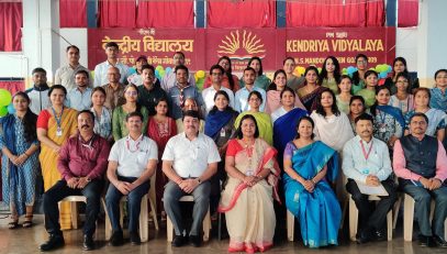 वार्षिक पैनल निरीक्षण