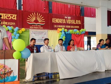 वार्षिक पैनल निरीक्षण