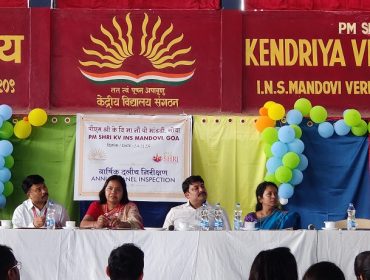 वार्षिक पैनल निरीक्षण