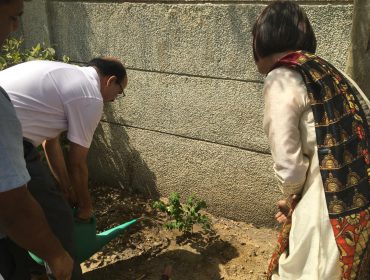 Image Showing: DC Sir pouring water to plant