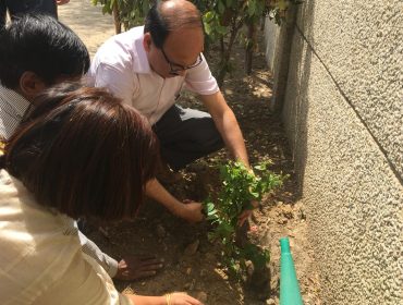 Image Showing: DC Sir planting plant