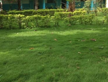 लॉन क्षेत्र