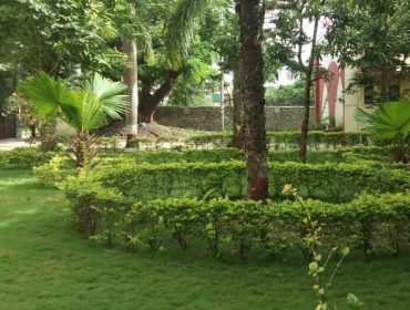 विद्यालय वाटिका