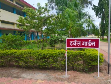 हर्बल