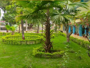 विद्यालय उद्यान का सुन्दर दृश्य