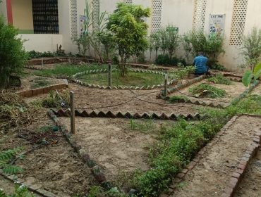 Swachhata Pakhwada