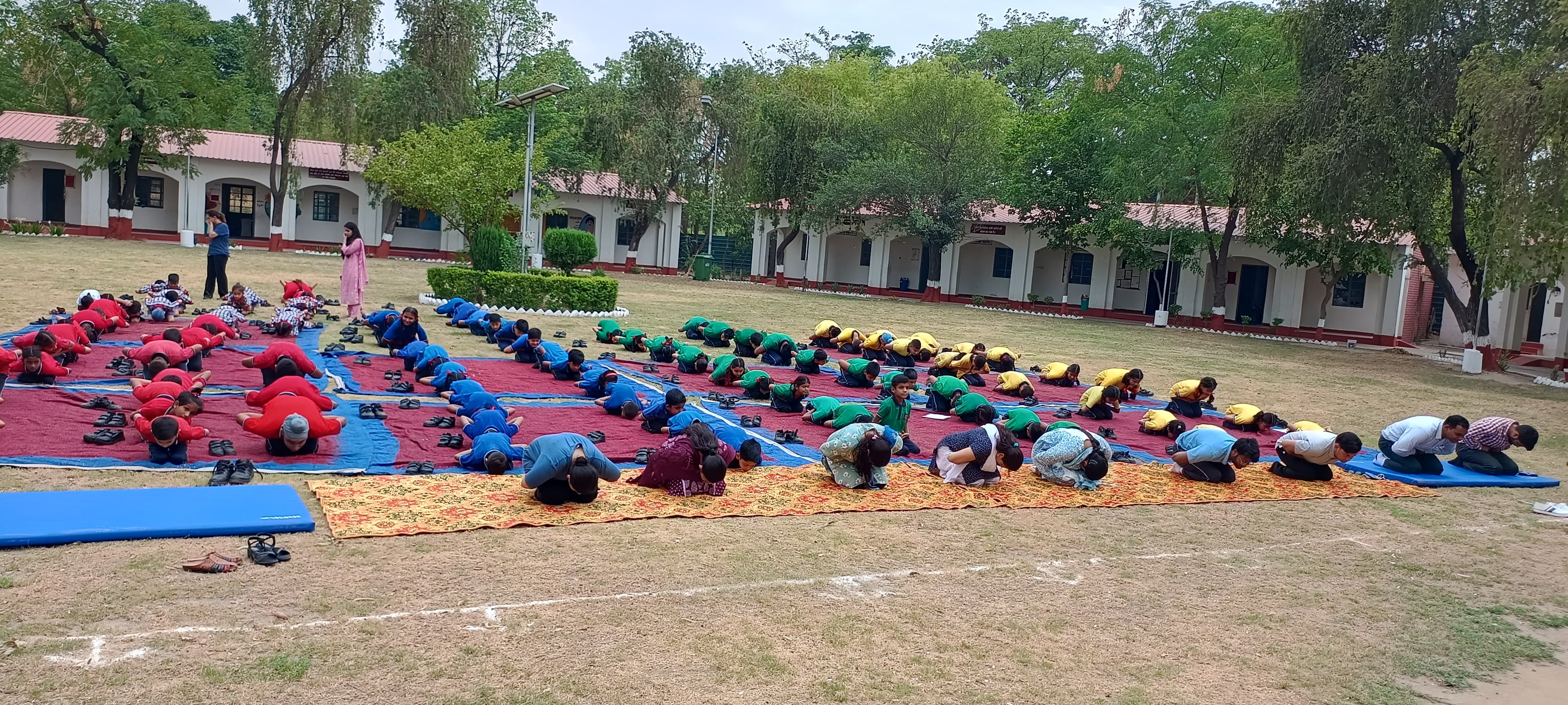 Yoga Day