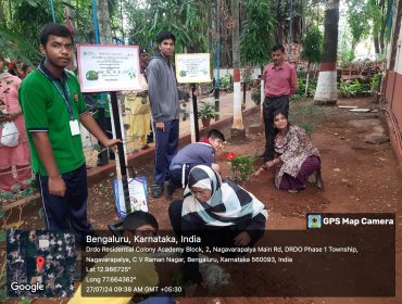 Plant for Mothers