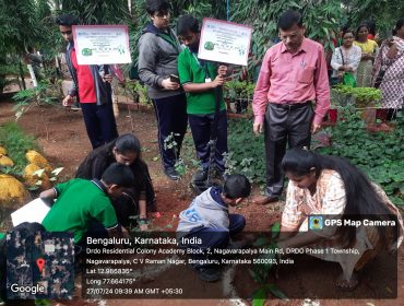 Plant for Mother