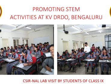 Stem Activity