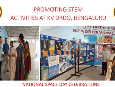 Stem Activity