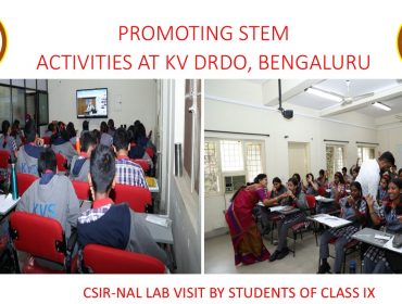 Stem Activity