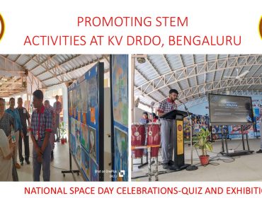 Stem Activity