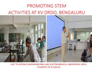Stem Activity