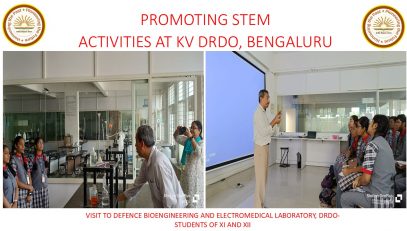 Stem Activity