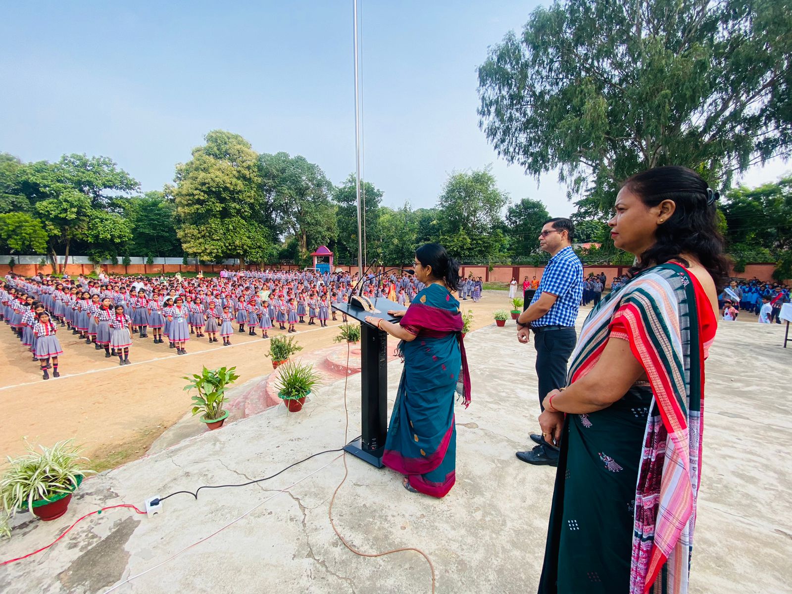 वार्षिक पैनल निरीक्षण