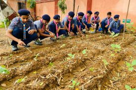 photo of by scout and guide in plantation day