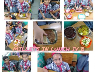 millet lunch