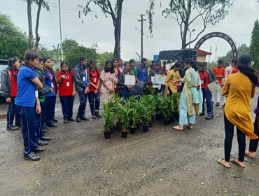 Plantation