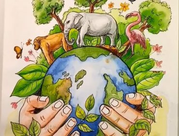 environment picture