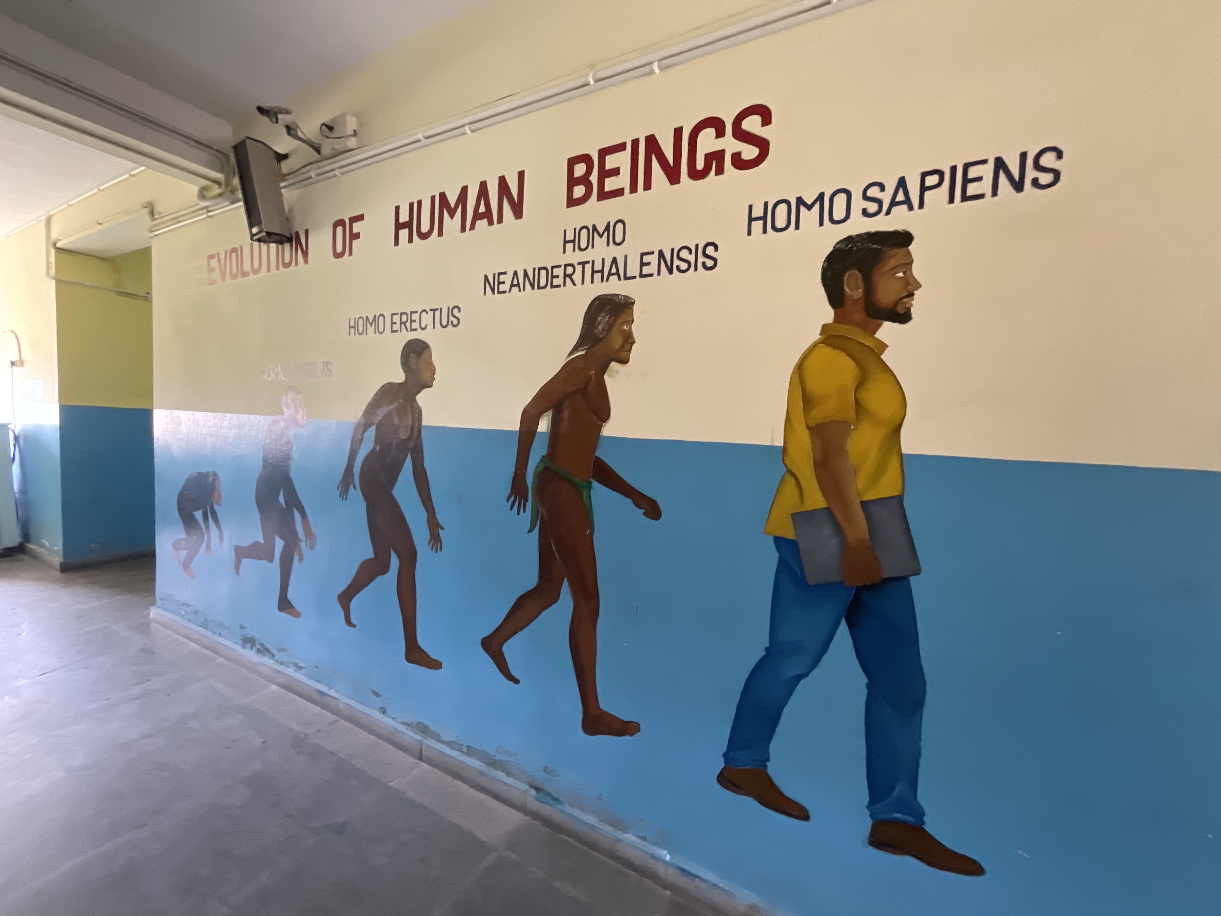 BALA LEARING HUMAN EVOLUTION