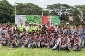 TREE PLANTATION DRIVE