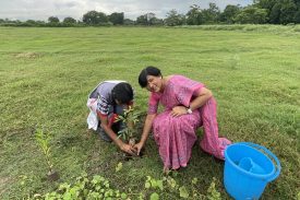 TREE PLANTATION BY PRINCIPAL