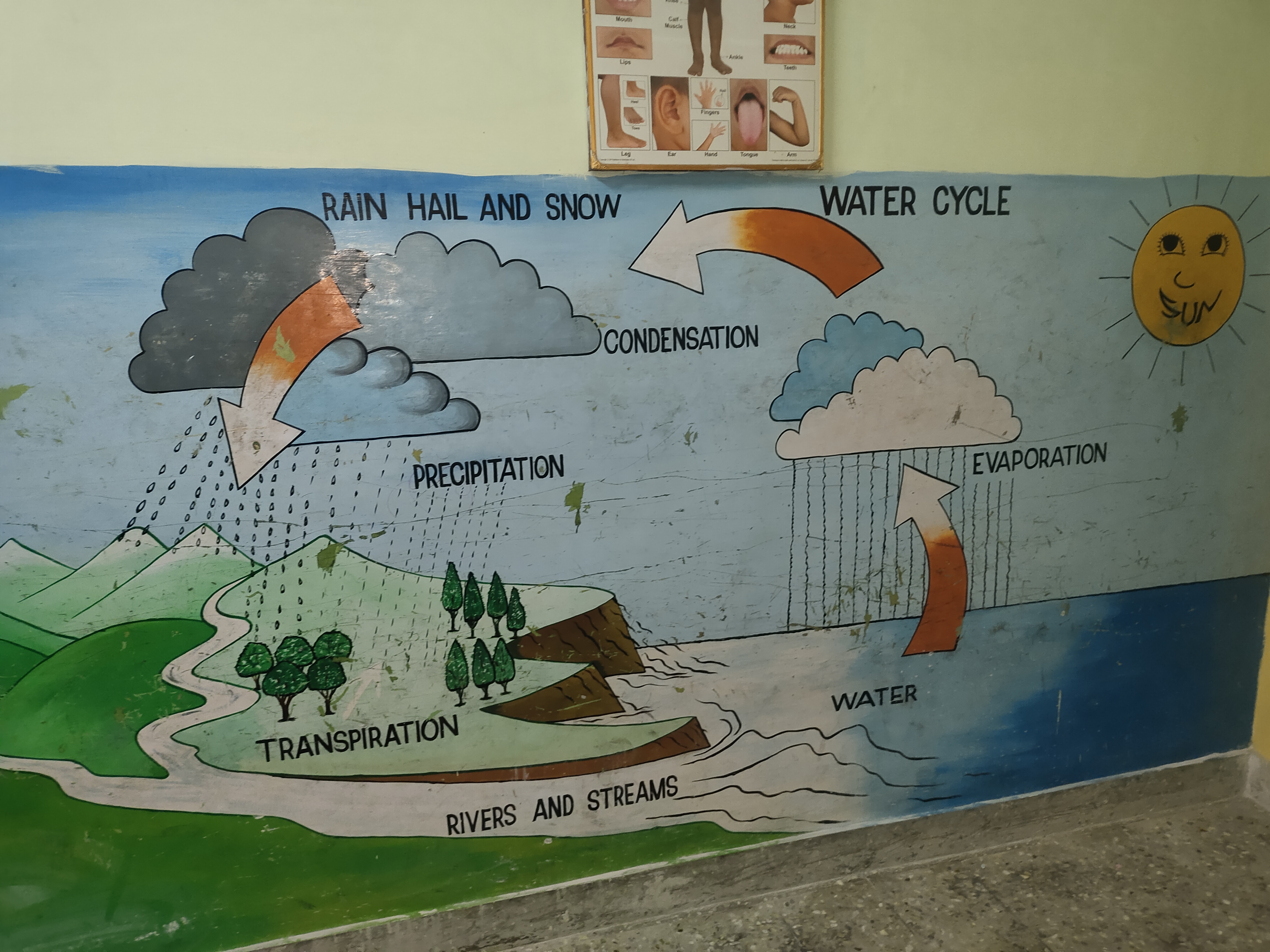 बाला पहल