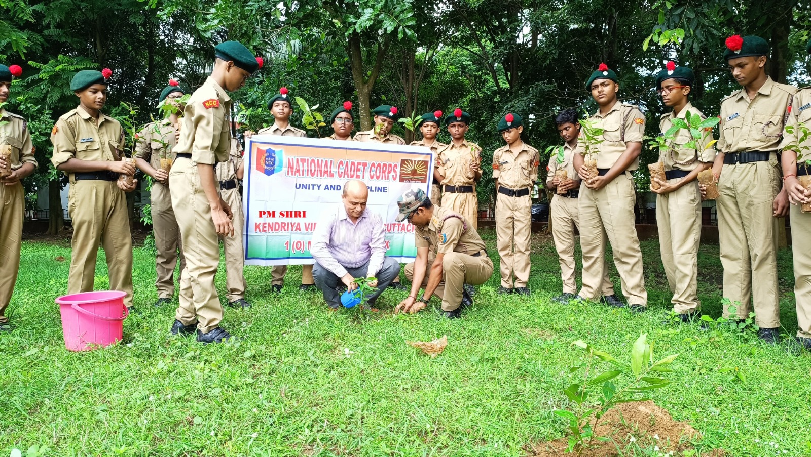 tree plantation