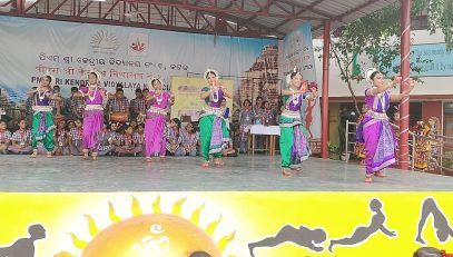 वार्षिक पैनल निरीक्षण