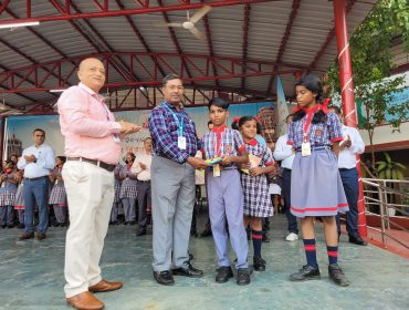 वार्षिक पैनल निरीक्षण