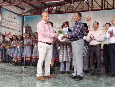 वार्षिक पैनल निरीक्षण