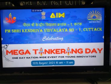 MEGATINKERINGDAY