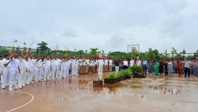 वृक्षारोपण अभियान