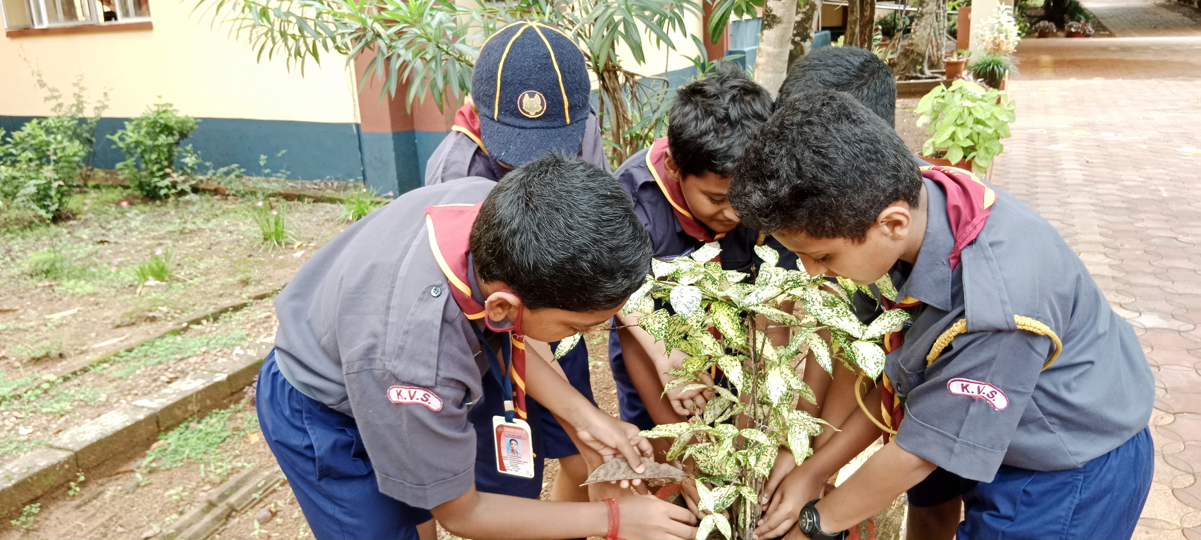 Scouts and Guides Activities