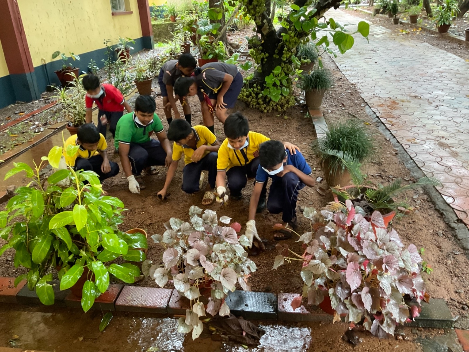 Community Participation