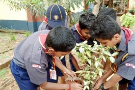 Scouts and Guides Activities