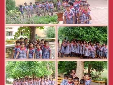 पर्यावरण दिवस