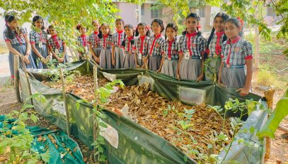 Photo gallery vermi composting in school