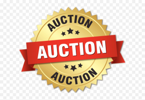 auction-logo