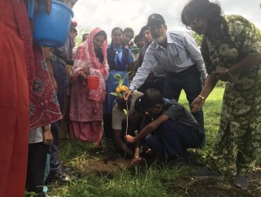 वृक्षारोपण दिवस