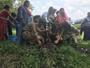 वृक्षारोपण अभियान