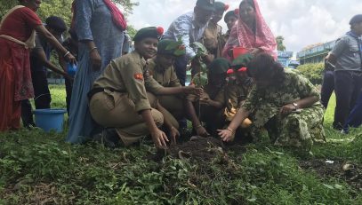 वृक्षारोपण अभियान