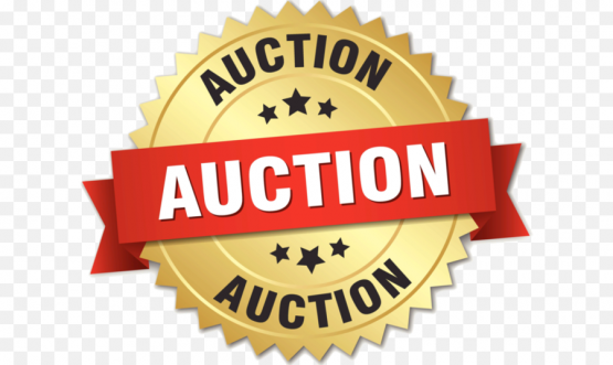 auction-logo