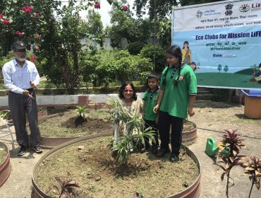 WORLD ENVIRONMENT DAY - 2025