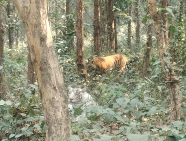 CLASS 8 - EXPOSURE VISIT TO BENGAL SAFARI - 2026