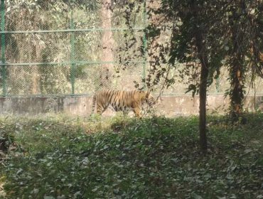 CLASS 10 - EXPOSURE VISIT TO BENGAL SAFARI - 2026